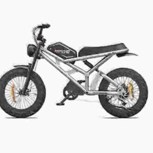 20 Ebike gamintojo