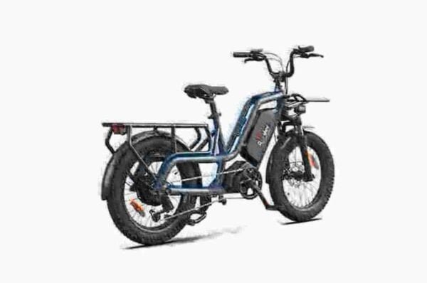 20 colių Ebike gamintojas
