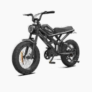 2024 ebike gamintojas