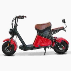 4000w Citycoco gamintojas