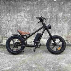 48v ebike gamintojas