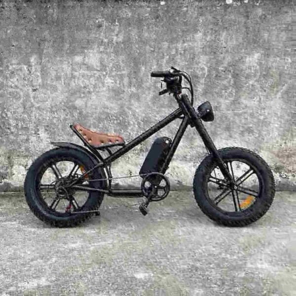 48v ebike gamintojas