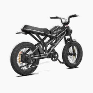 750w ebike gamintojas