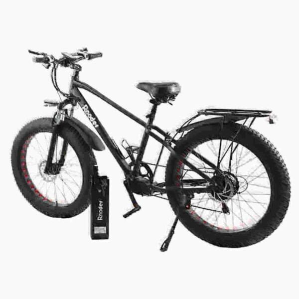 750w Fat Bike gamintojas