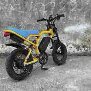 Assassin Electric Dirt Bike gamintojas