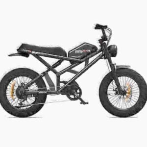 Baterija maitinamo purvo dviračio gamintojas