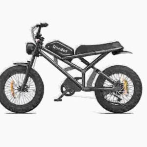 E Bikes 2024 elektrinių dviračių gamintojas