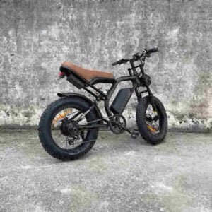 Ebike 1000w gamintojas