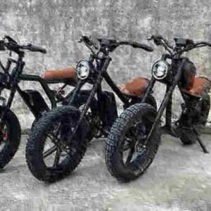 ebike dirt bike gamintojas