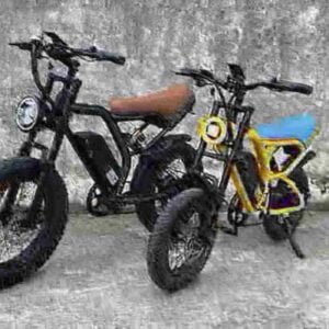 ebike gamintojas