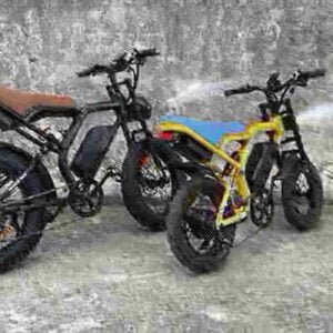 Electric Dirt Bike Top Speed gamintojas