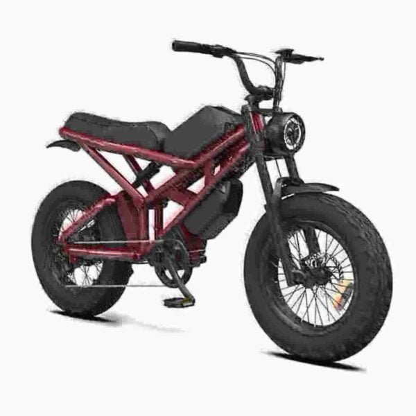 Electric Fat Bike Price gamintojas