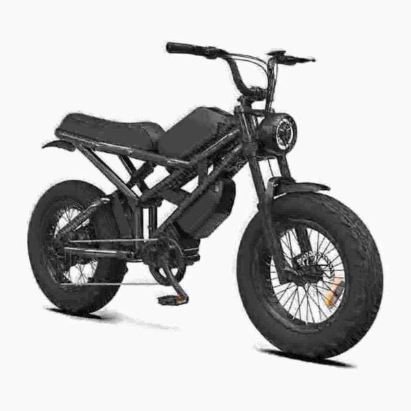 Electric Fat Tire Ebike gamintojas