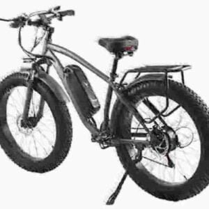 Electric Fat Tire Ebikes gamintojas