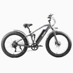 Fat Tire Battery Bike gamintojas