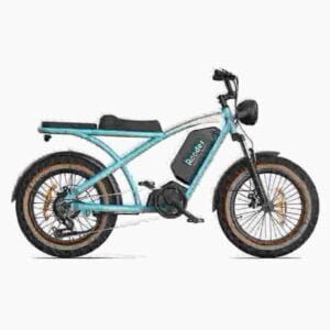 Fat Tire Bike Electric gamintojas