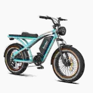 Fat Tire Cycle Electric gamintojas