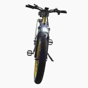 Moped Style E Bike gamintojas