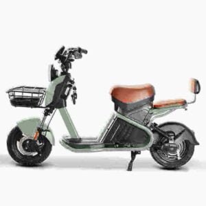 Rooder citycoco Citycoco motorolerių gamintojas