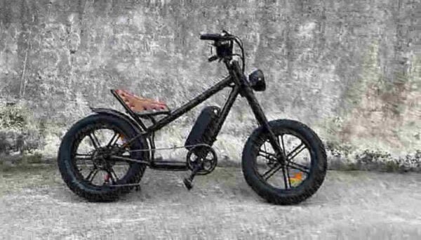 geriausias ebike iki 1000 gamintojo